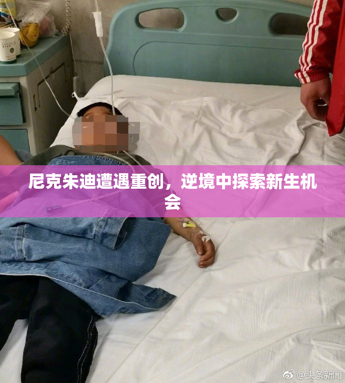 尼克朱迪遭遇重创，逆境中探索新生机会