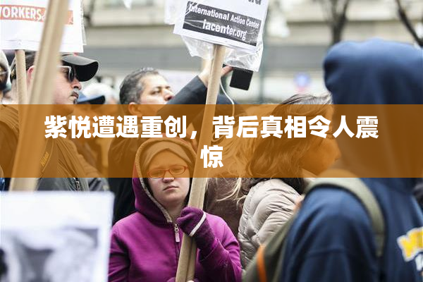 紫悦遭遇重创，背后真相令人震惊