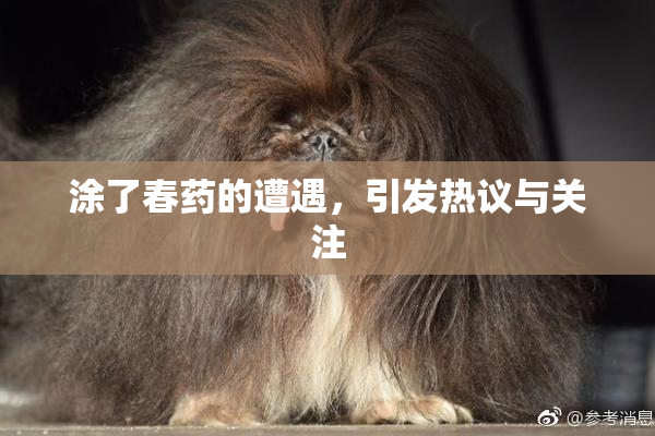 涂了春药的遭遇，引发热议与关注