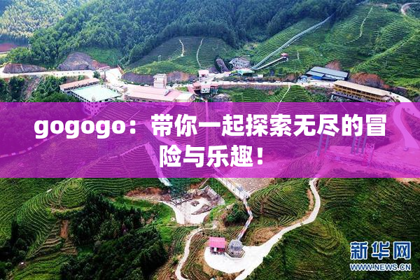 gogogo：带你一起探索无尽的冒险与乐趣！