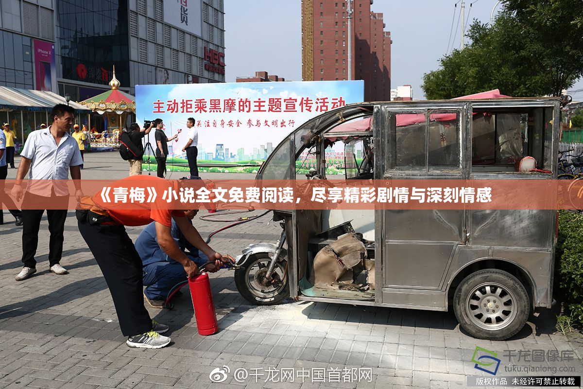 《青梅》小说全文免费阅读，尽享精彩剧情与深刻情感