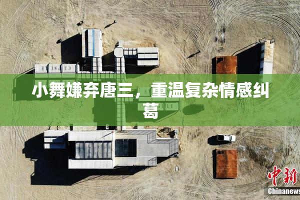 小舞嫌弃唐三，重温复杂情感纠葛
