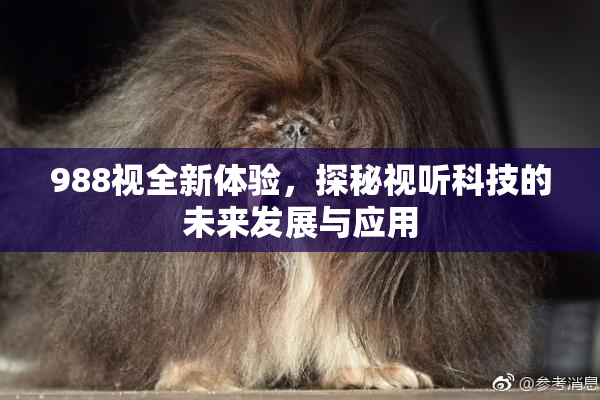 988视全新体验，探秘视听科技的未来发展与应用