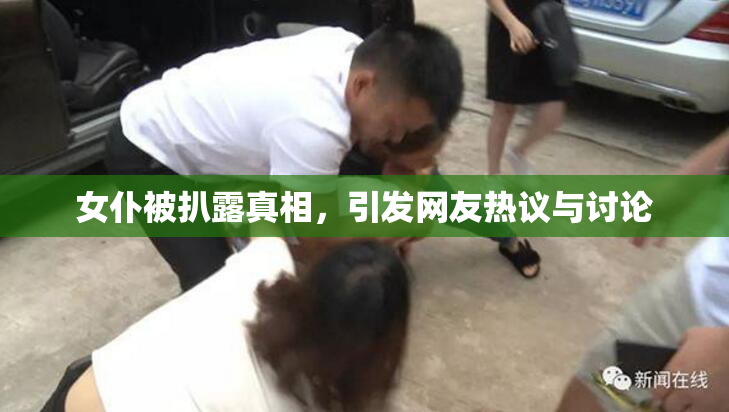 女仆被扒露真相，引发网友热议与讨论