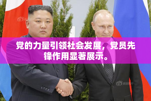 党的力量引领社会发展，党员先锋作用显著展示。