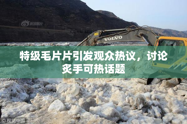 特级毛片片引发观众热议，讨论炙手可热话题