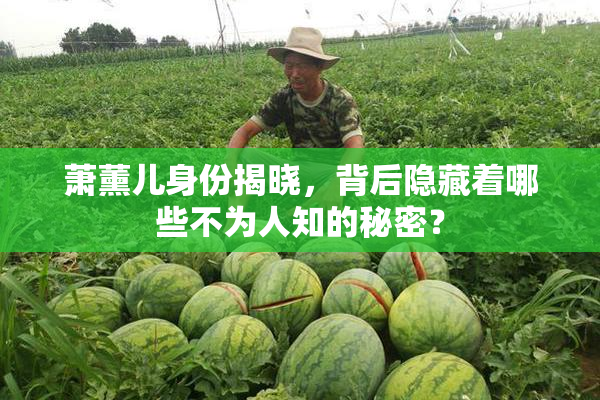萧薰儿身份揭晓，背后隐藏着哪些不为人知的秘密？
