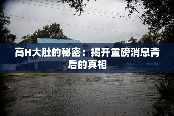 高H大肚的秘密：揭开重磅消息背后的真相