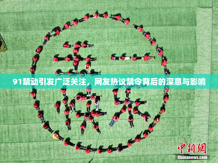 91禁动引发广泛关注，网友热议禁令背后的深意与影响