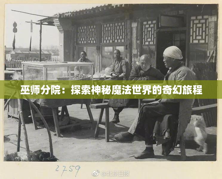 巫师分院：探索神秘魔法世界的奇幻旅程