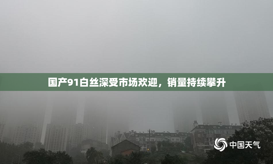 国产91白丝深受市场欢迎，销量持续攀升