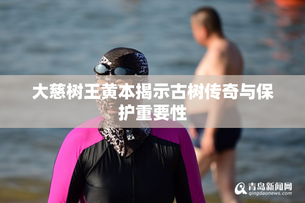 大慈树王黄本揭示古树传奇与保护重要性