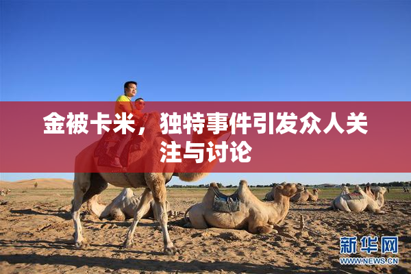 金被卡米，独特事件引发众人关注与讨论