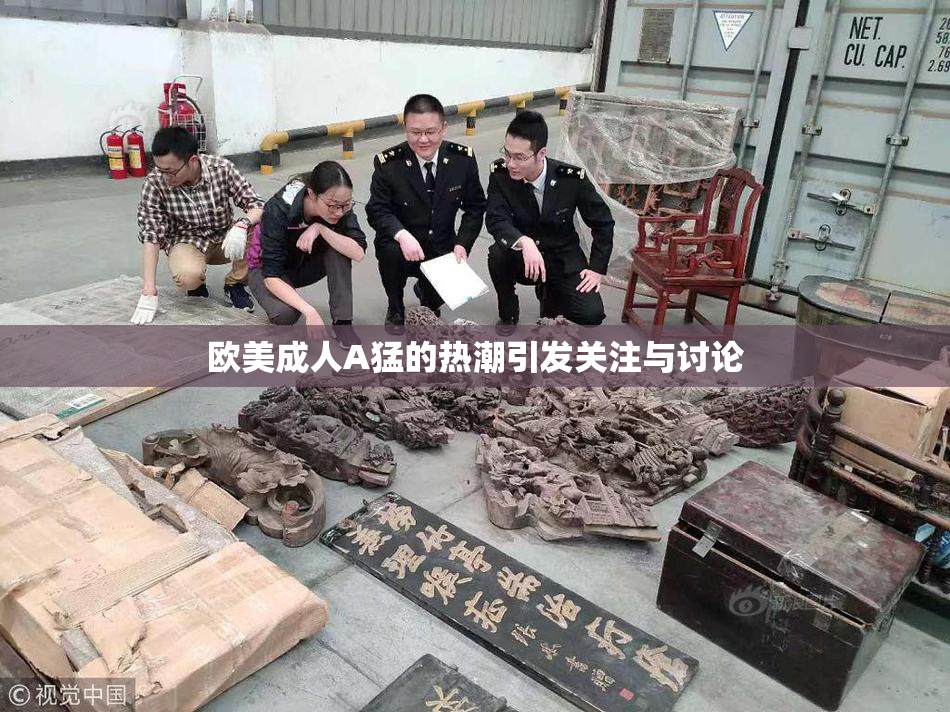 欧美成人A猛的热潮引发关注与讨论