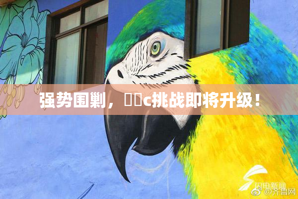 强势围剿，❌‌c挑战即将升级！