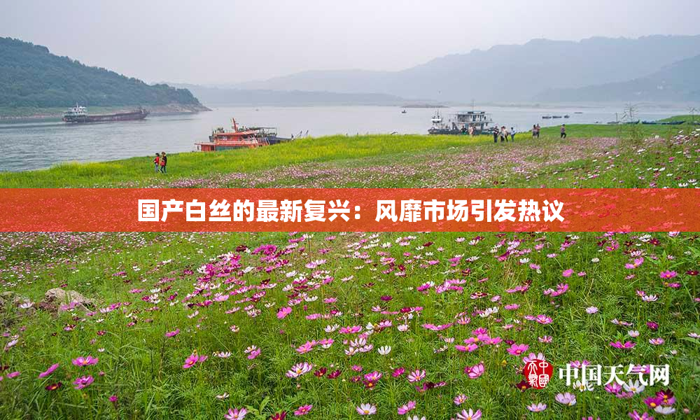 国产白丝的最新复兴：风靡市场引发热议