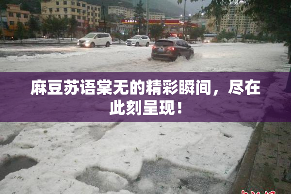 麻豆苏语棠无的精彩瞬间，尽在此刻呈现！