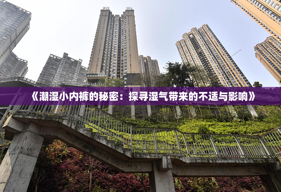《潮湿小内裤的秘密：探寻湿气带来的不适与影响》