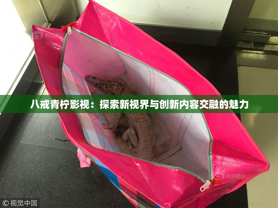 八戒青柠影视：探索新视界与创新内容交融的魅力