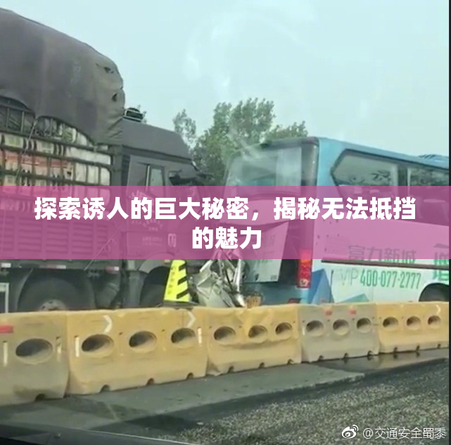探索诱人的巨大秘密，揭秘无法抵挡的魅力