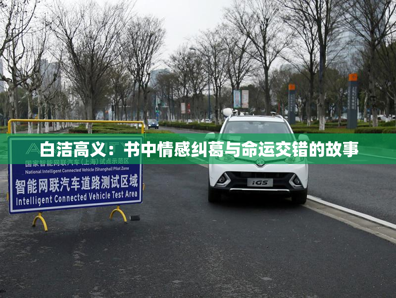 白洁高义：书中情感纠葛与命运交错的故事