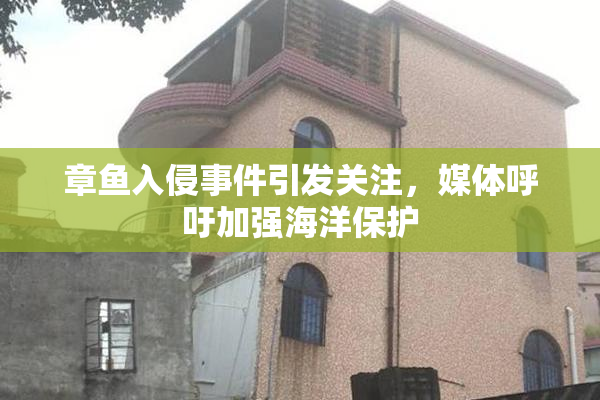 章鱼入侵事件引发关注，媒体呼吁加强海洋保护