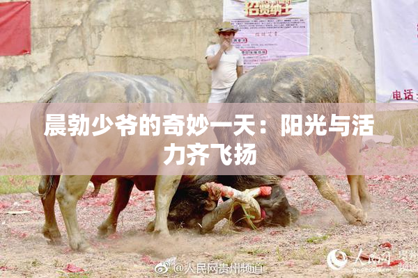 晨勃少爷的奇妙一天：阳光与活力齐飞扬
