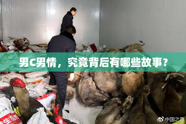 男C男情，究竟背后有哪些故事？