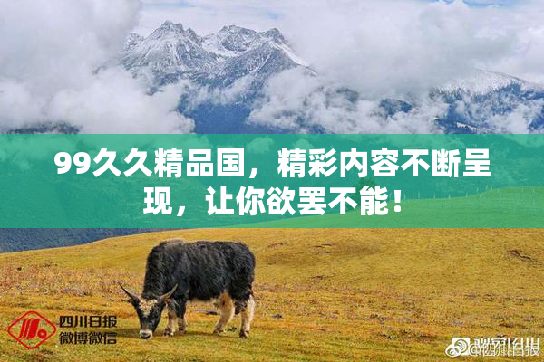 99久久精品国，精彩内容不断呈现，让你欲罢不能！