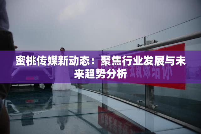 蜜桃传媒新动态：聚焦行业发展与未来趋势分析