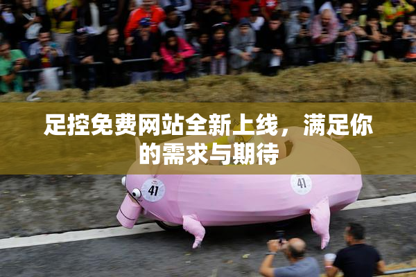 足控免费网站全新上线，满足你的需求与期待