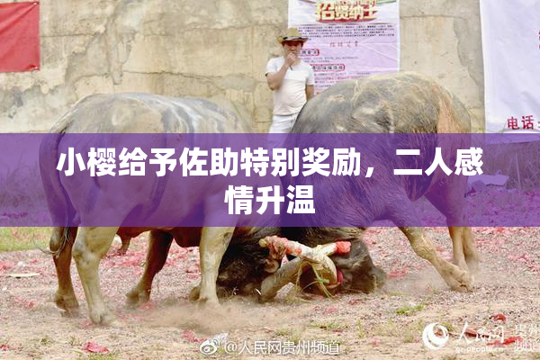 小樱给予佐助特别奖励，二人感情升温
