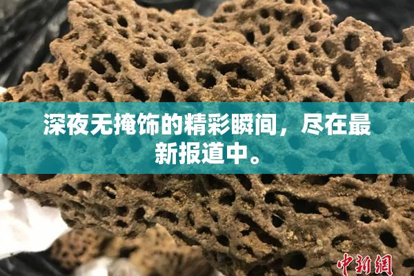 深夜无掩饰的精彩瞬间，尽在最新报道中。