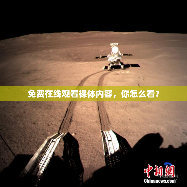 免费在线观看裸体内容，你怎么看？