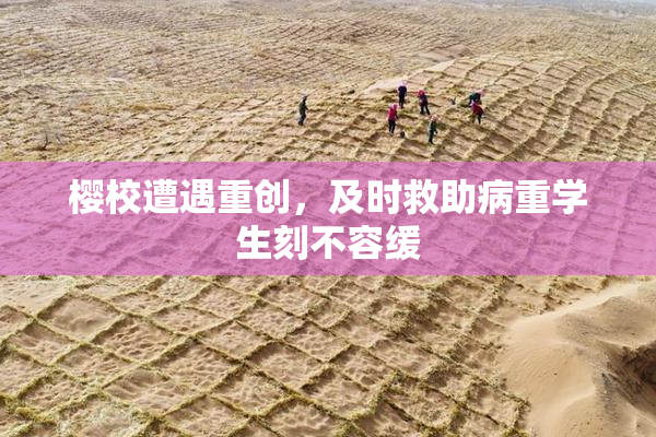 樱校遭遇重创，及时救助病重学生刻不容缓