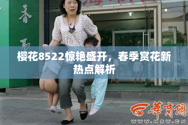 樱花8522惊艳盛开，春季赏花新热点解析
