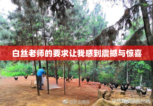 白丝老师的要求让我感到震撼与惊喜