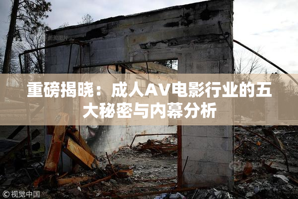 重磅揭晓：成人AV电影行业的五大秘密与内幕分析