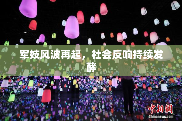 军妓风波再起，社会反响持续发酵