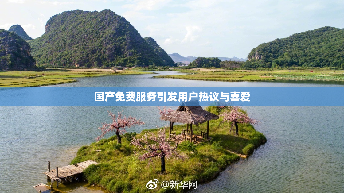 国产免费服务引发用户热议与喜爱