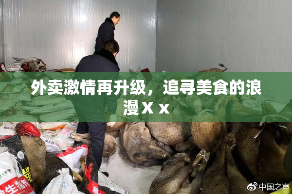 外卖激情再升级，追寻美食的浪漫Ⅹⅹ