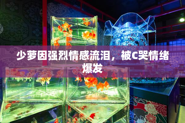 少萝因强烈情感流泪，被C哭情绪爆发