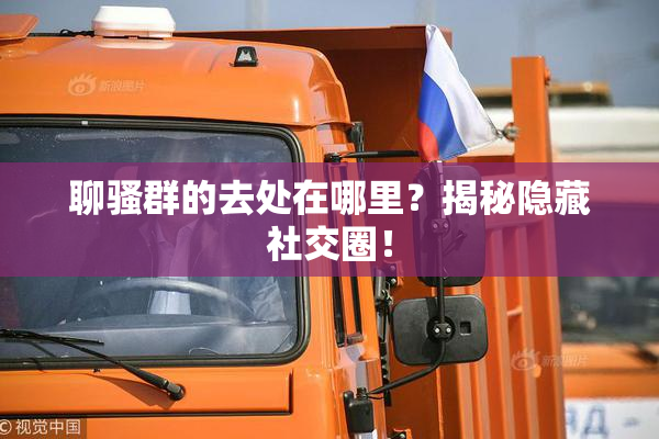 聊骚群的去处在哪里？揭秘隐藏社交圈！