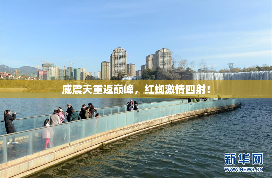 威震天重返巅峰，红蜘激情四射！