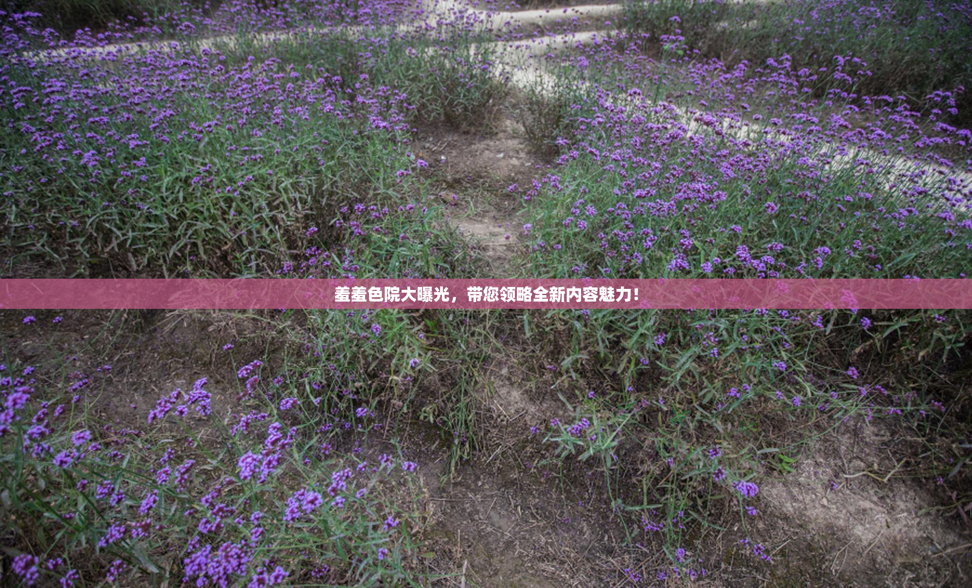 羞羞色院大曝光，带您领略全新内容魅力！