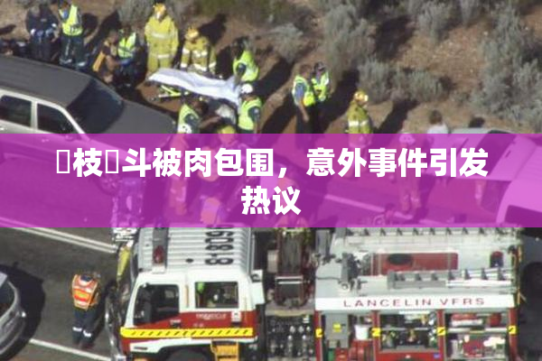 狛枝凪斗被肉包围，意外事件引发热议