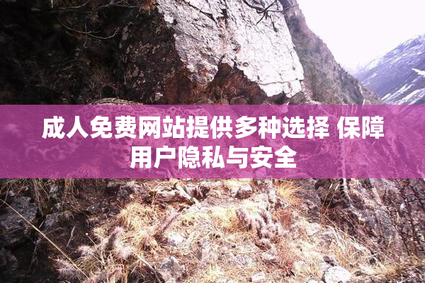 成人免费网站提供多种选择 保障用户隐私与安全