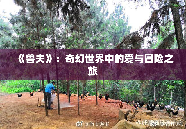 《兽夫》：奇幻世界中的爱与冒险之旅