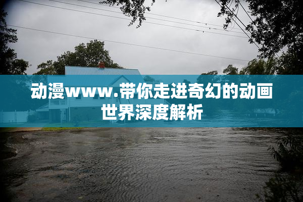 动漫www.带你走进奇幻的动画世界深度解析