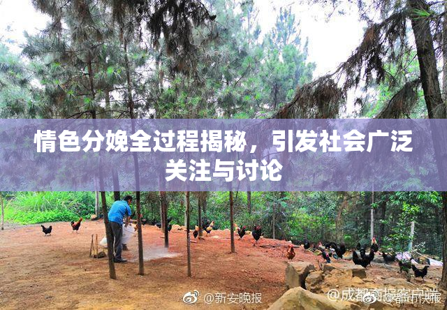 情色分娩全过程揭秘，引发社会广泛关注与讨论